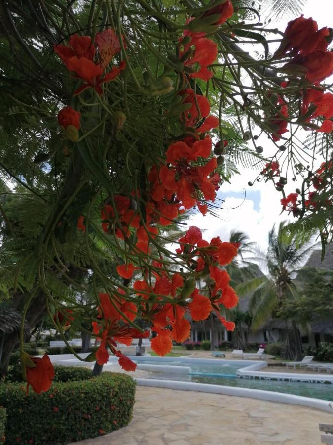 Coral Key Villa 马林迪 外观 照片